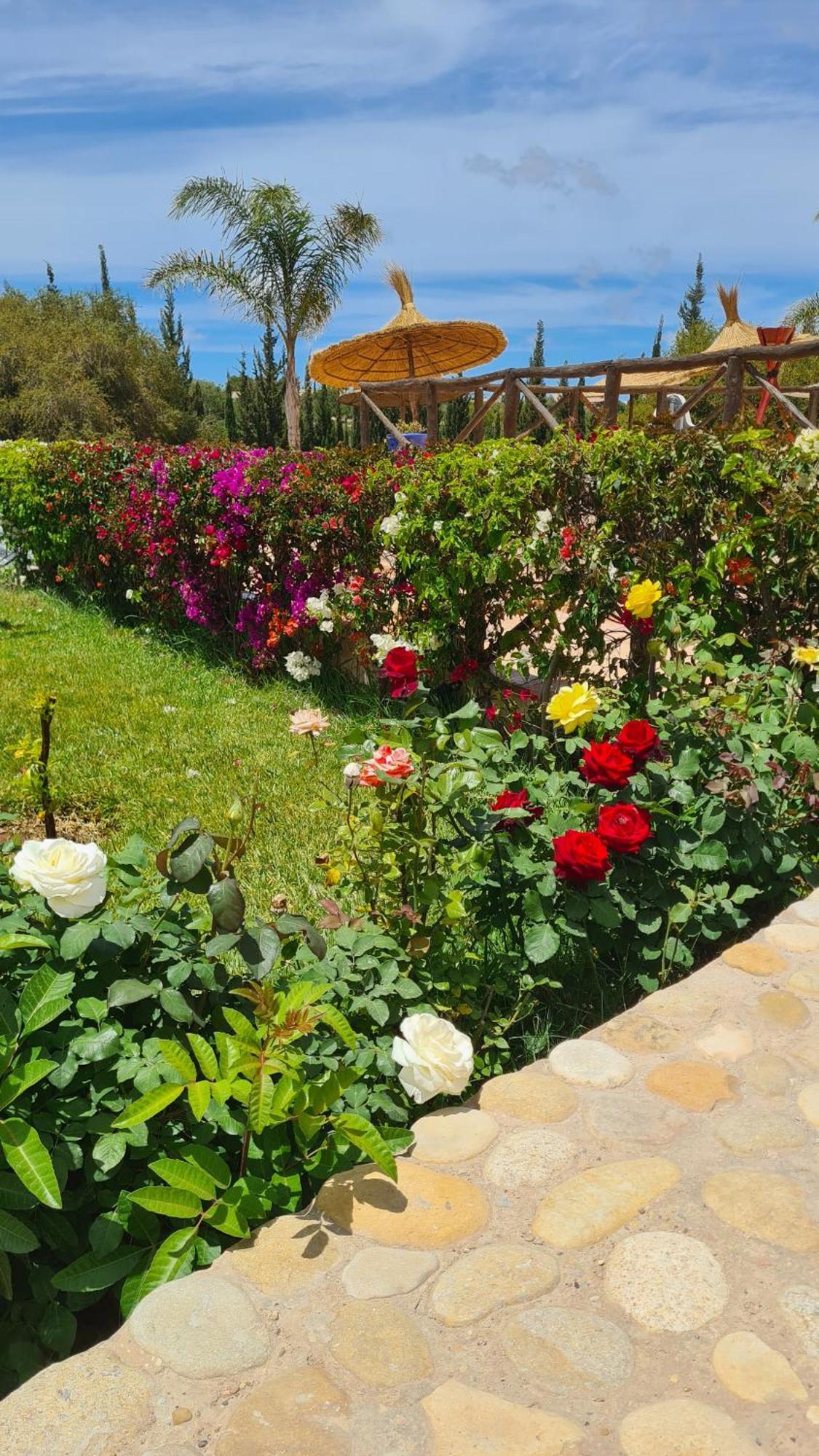 Villa Amma Essaouira Eksteriør billede